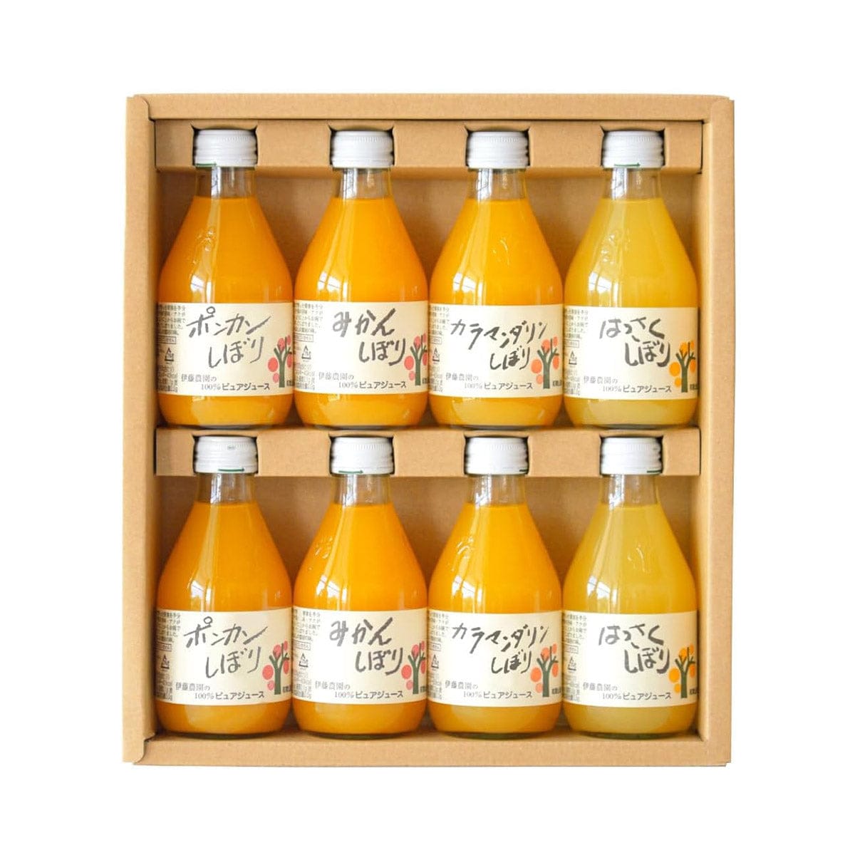Ito Noen Wakayama Orange Juice Set of 8