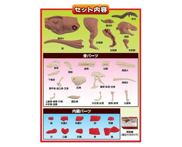 Dinosaur Meat Puzzle: Tyrannosaurus Toys & Games Sugoi Mart