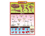 Dinosaur Meat Puzzle: Tyrannosaurus Toys &amp; Games Sugoi Mart thumbnail 3