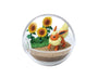 Pokemon Terrarium Blind Box Vol. 8 Anime &amp; Brands Sugoi Mart thumbnail 6