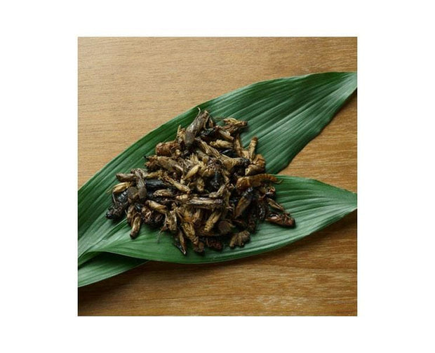 Takeo Orthoptera Mix Snack Food and Drink Sugoi Mart