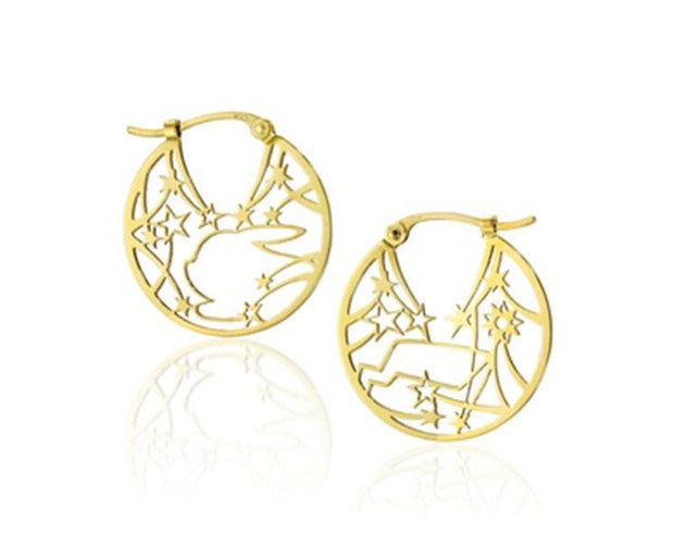 Pokemon x Star Jewelry Earrings Home Sugoi Mart