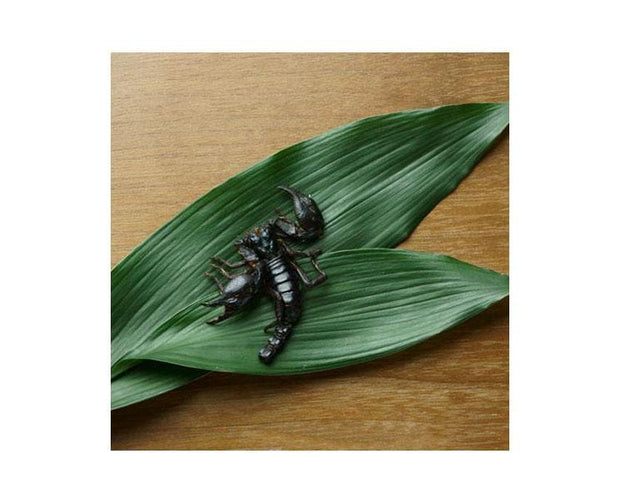 Takeo Black Scorpion Snack Food and Drink Sugoi Mart