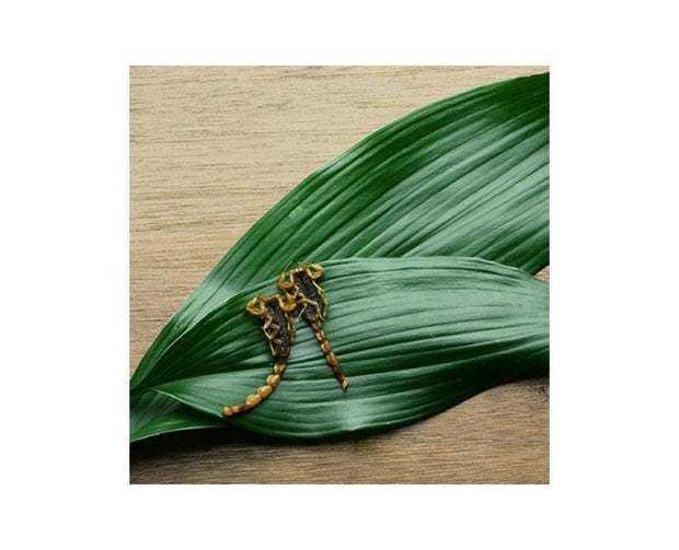 Takeo Armor Tail Scorpions Snack Food and Drink Sugoi Mart