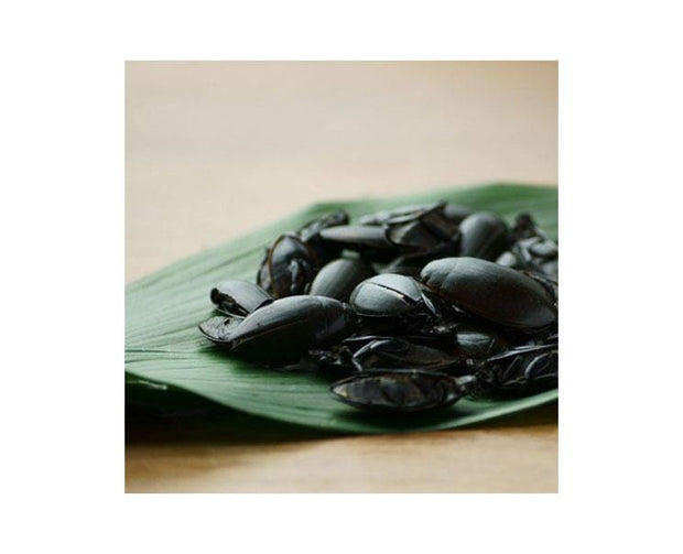 Takeo Diving Beetles Snack Food and Drink Sugoi Mart
