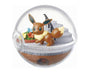 Pokemon Terrarium Collection Blind Box Vol. 1 (Complete Set) Anime &amp; Brands Sugoi Mart thumbnail 8