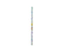 Pokemon Ponyta Pencil (12 Pieces) Home, Hype Sugoi Mart    thumbnail 2