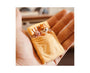 Shiba Inu Refrigerator Magnet: Style 3 thumbnail 2