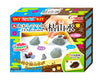 Japanese Zen Garden DIY Candy Kit Candy and Snacks Sugoi Mart