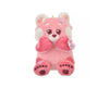 Disney Sakura 2024 Red Panda Mei Keychain Plushie
