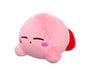 Promo Free Kirby Stuffed Plushie thumbnail 3
