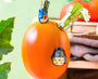 Studio Ghibli Totoro Mango Hanging Vase thumbnail 2