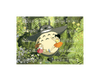 My Neighbor Totoro 500 Piece Jigsaw Puzzle (Sanpo) Anime & Brands Japan Crate Store