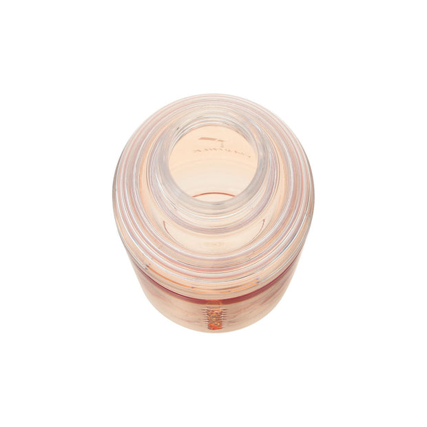 Starbucks Spring 2025 Shaker Bottle