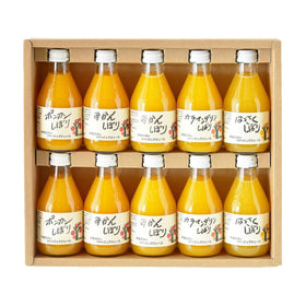 Ito Noen Wakayama Orange Juice Set of 10