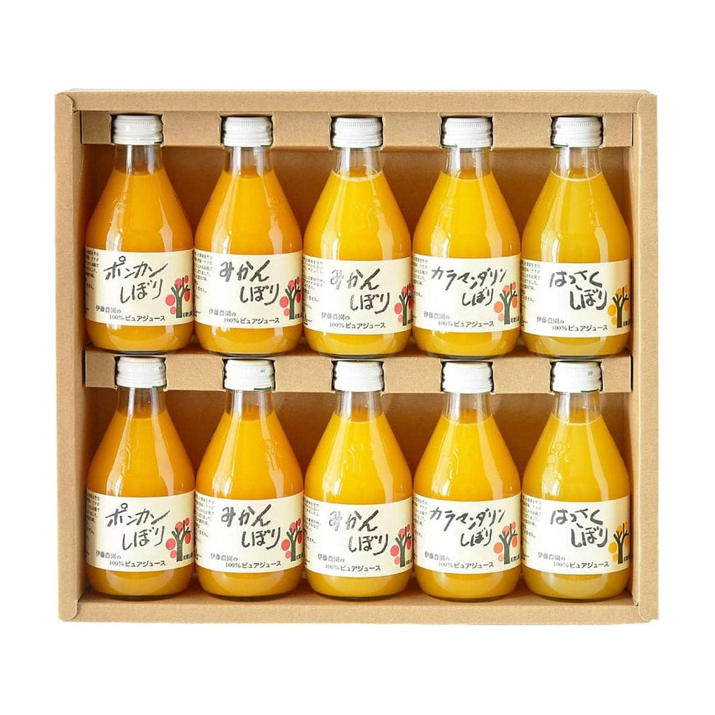 Ito Noen Wakayama Orange Juice Set of 10