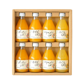 Ito Noen Wakayama Orange Juice Set of 8
