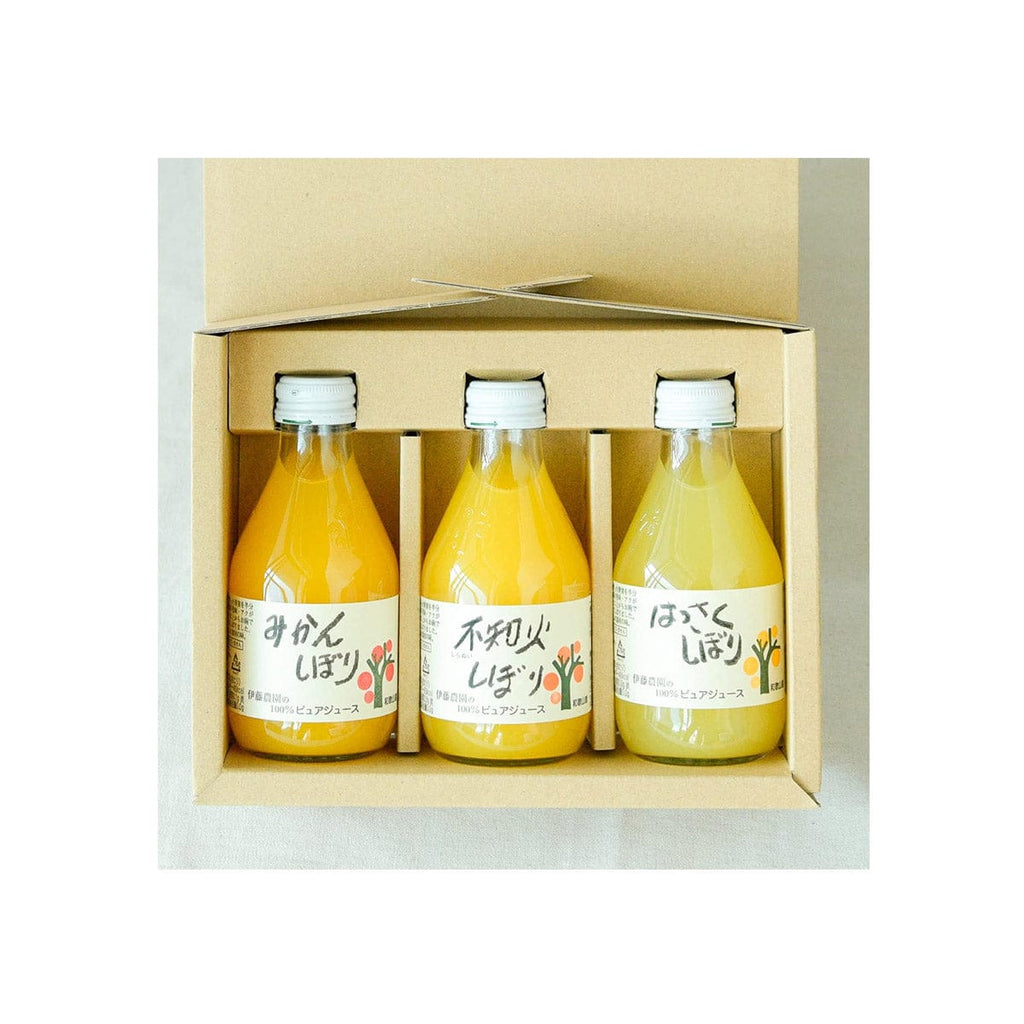 Ito Noen Wakayama Orange Juice Set of 3