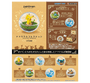 Pokemon Terrarium Collection Blind Box Vol. 1 Anime &amp; Brands Japan Crate Store thumbnail 2