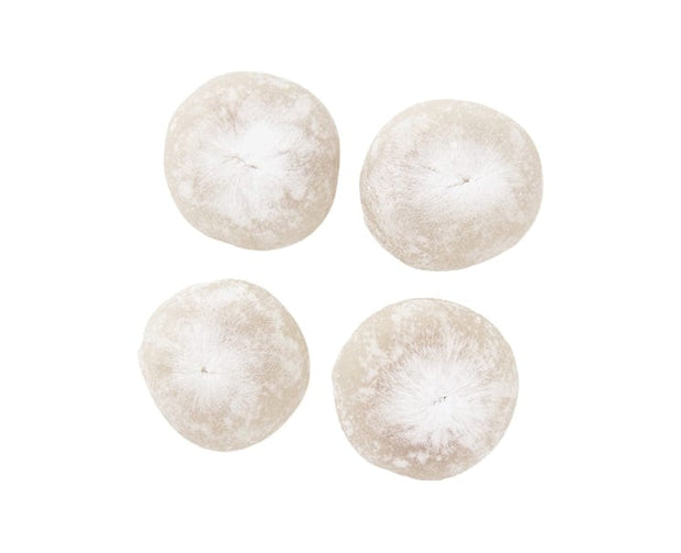 Muji Chestnut Daifuku Mochi